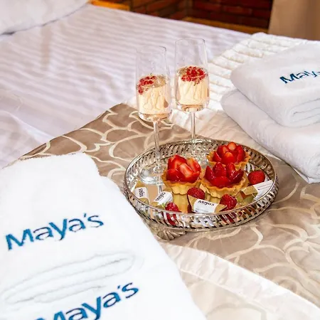 Maya's Flats 72 - Unique Attic In The Old Of Danzica