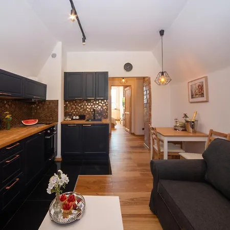 Maya's Flats 72 - Unique Attic In The Old Of