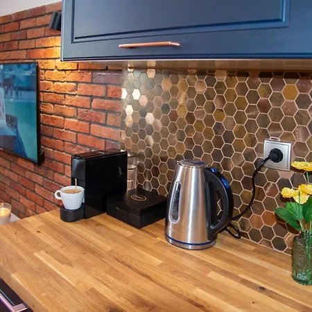 公寓 Maya's Flats 72 - Unique Attic In The Old Of