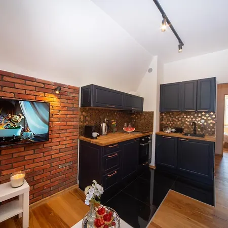 Maya's Flats 72 - Unique Attic In The Old Of * Danzica