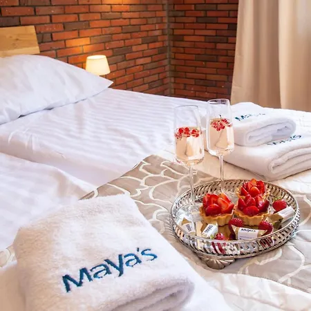 Maya's Flats 72 - Unique Attic In The Old Of Danzica