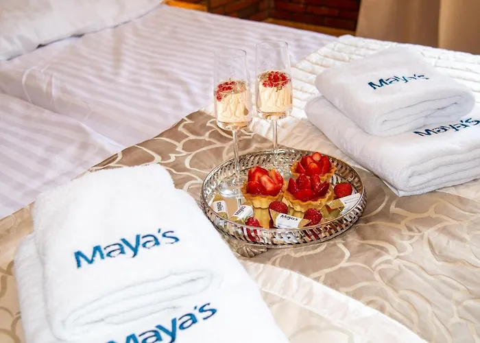 Maya's Flats 72 - Unique Attic In The Old Of Danzica